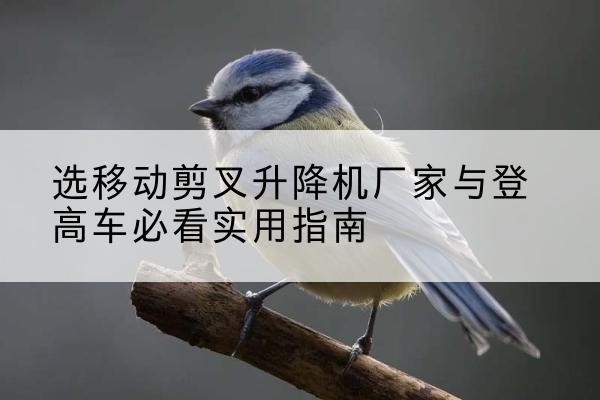 涿州电动升降机厂家-选移动剪叉升降机厂家与登高车必看实用指南