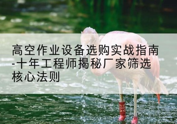 涿州剪叉式升降机厂家-高空作业设备选购实战指南-十年工程师揭秘厂家筛选核心法则
